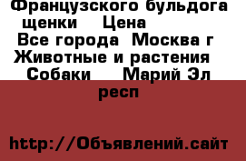 Французского бульдога щенки  › Цена ­ 35 000 - Все города, Москва г. Животные и растения » Собаки   . Марий Эл респ.